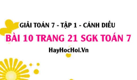 Giải bài 10 trang 21 Toán 7 Tập 1 SGK Cánh Diều